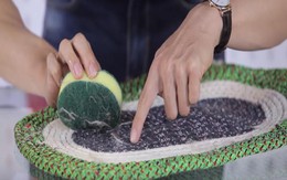 Khỏi lo lông thú cưng dính đầy thảm, chăn, đệm chỉ nhờ vài mẹo trẻ con cũng làm được