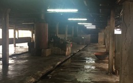 Thách nhau tại lò mổ, một người bị đâm chết