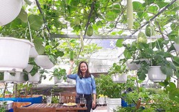 Choáng ngợp với khu vườn 100m² phủ kín rau quả sạch của bà mẹ bận rộn