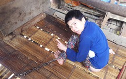 Bi kịch cuộc đời cô giáo trẻ vùng cao mắc bệnh tâm thần, cả ngày bị xích chân