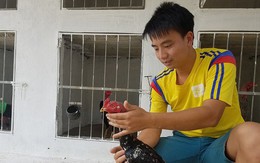 Dược sỹ trẻ thu lãi 40 – 50 triệu đồng/tháng từ nuôi gà chọi