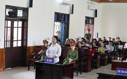 Hà Tĩnh: 9 năm tù cho đối tượng “hoạt động lật đổ chính quyền nhân dân”