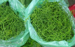 Bát canh hoa rau ngót rừng: Ngọt lừ, đắt gấp đôi thịt bò Mỹ