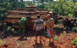 Lật xe cày, 3 người bị gỗ đè thương vong lúc mờ sáng