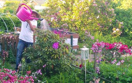 Ông bố Việt sở hữu vườn rau sạch ăn quanh năm không hết ở Đức