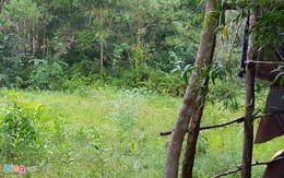 Bán đất rừng như mớ rau, rổ cá trong cơn sốt giá ở Phú Quốc