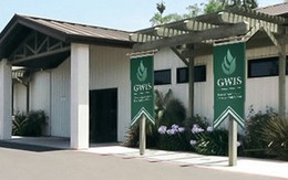 Nghi án trường “ma”: Bộ GD&ĐT yêu cầu trường Newton dừng hợp tác