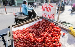 Trái cây đặc sản miền Bắc đổ bộ vỉa hè Sài Gòn