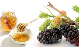 Tận dụng triệt để quả dâu tằm đang mùa đi, nó là thần dược cho chị em và tiên dược cho chồng đấy