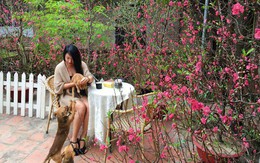 Chốn đi về bình yên ngập tràn hoa trái ai cũng mơ của người phụ nữ Hà Nội đa tài