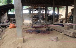 Chồng sát hại vợ dã man rồi nổ súng tự sát vì không được tái hợp