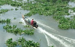 Cano Hải quan va chạm với xuồng chở thuốc lá lậu, một người rớt sông tử vong