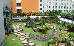 Gia chủ Hà Nội phải dỡ toàn bộ vườn trên mái vì ngấm nước