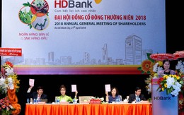 HDBank nằm trong nhóm các ngân hàng có khả năng sinh lời cao nhất