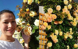 Xiêu lòng trước vườn hoa hồng đẹp như tiên cảnh của mẹ Việt ở Úc