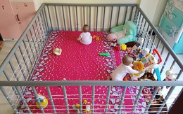 Chiếc cũi làm từ ống nước có giá chưa tới một triệu đồng