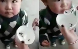 Mẹ cho con ăn nòng nọc sống để khỏe mạnh