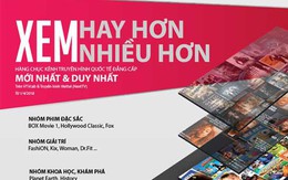 Vụ cắt hàng loạt kênh "hot": VTVCab có vi phạm hợp đồng?