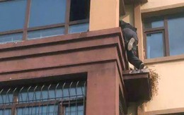 Nhân viên giao hàng leo lên tầng 3 cứu cụ bà tàn tật khỏi đám cháy