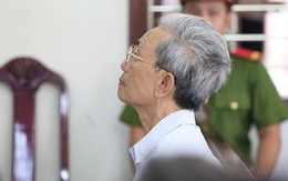Vụ ông lão 77 tuổi dâm ô trẻ em thoát án tù giam: "Không hợp tình, hợp lý"