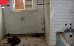 Mua căn nhà bỏ hoang 30 năm, cô gái tự tay cải tạo phòng tắm đẹp đến ngỡ ngàng