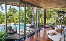 Ngôi nhà tổ chim cheo leo trên núi “hạ gục” những người mê ngắm nhìn cảnh sắc lãng mạn của thiên nhiên