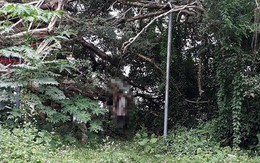 Bị vu trộm điện thoại, người đàn ông treo cổ tự tử
