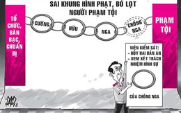 Tổ chức trộm chó, vợ bị xử, chồng ‘thoát’