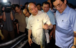 Thủ tướng mua 10kg cá của ngư dân Quảng Trị