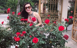 Sân vườn 50 m2 phủ kín hoa hồng của bà mẹ Hòa Bình