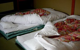 Thanh niên sống ké trong nhà cụ bà gần nửa năm mới bị phát hiện