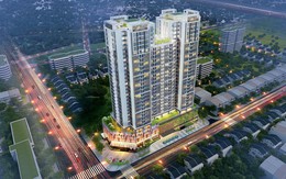 Chủ đầu tư dự án Golden Park và sàn Đất Xanh Miền Bắc bị khách hàng làm đơn "tố cáo"