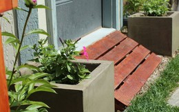 Trang trí nhà với bồn cây - giải pháp tiết kiệm nhưng lại khiến nhà đẹp bất ngờ