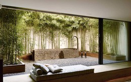 Góc nhỏ chưa đầy 1 mét vuông trong nhà nhưng không phải ai cũng có may mắn để sở hữu