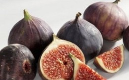 Sung Mỹ cực đắt đỏ, giá hơn nửa triệu/kg vẫn được săn lùng