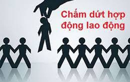Hơn 260 giáo viên ở Cà Mau có thể bị mất việc