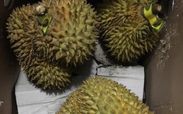Dân mạng truyền nhau vụ giải cứu sầu riêng ở Hà Nội là chiêu bán hàng