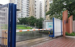 Trường Amsterdam lên tiếng về nữ sinh 15 tuổi tố bị BTV Minh Tiệp bạo hành