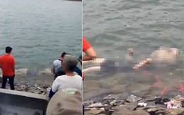 Nguyên nhân thực sự dẫn đến cái chết đau lòng của đôi nam nữ dưới hồ Đồng Đò
