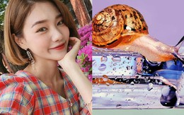 5 bí mật làm đẹp kiểu Hàn mà chỉ những tín đồ thực thụ mới hiểu