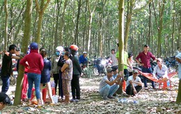 Khởi tố nhóm người xẻo tai cô gái vì món nợ 20 triệu