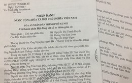 Vụ án ly hôn, chia tài sản chung ở Hà Nội: Mong một phán xét công tâm từ phiên tòa phúc thẩm