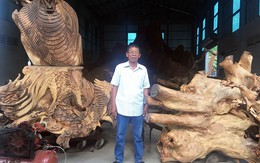 Miễn cưỡng mua gốc cây 35 triệu, nào ngờ được báu vật 35 tỷ