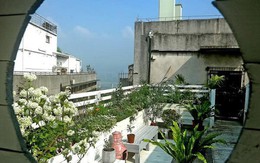 Soái ca làm "thiên đường hoa gác mái" cho vợ khiến chị em xôn xao