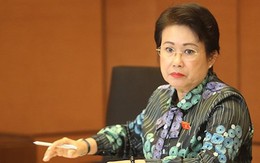 Phó​ bí thư Đồng Nai xin thôi nhiệm vụ đại biểu Quốc hội