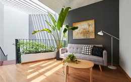 Nhà Sài Gòn kín cổng cao tường nhưng ngập nắng, cây xanh