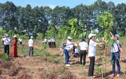 Doanh nghiệp đồng hành bảo vệ môi trường tại Đồng Nai