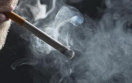 Phát hiện cháu gái bị ông già 86 tuổi xâm hại từ… mùi thuốc lá