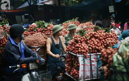 Vựa vải thiều lớn nhất miền Bắc đã vào mùa: “Mỗi năm chỉ có một lần nhộn nhịp như ngày hội, rất mệt nhưng vui lắm”
