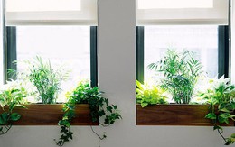 Phòng tuy đơn giản vẫn lung linh khi trang trí cửa sổ với 7 ý tưởng độc lạ này